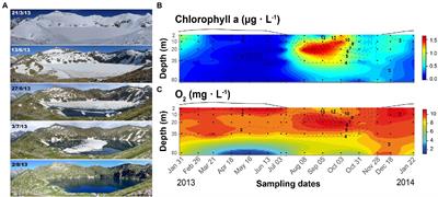 Bacterioplankton seasonality in deep high-mountain lakes